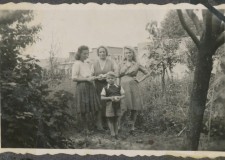 Powiększ zdjęcie Z prawej Helena Samsonowicz, w tle Budowlanka; 1955 rok
