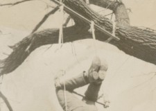 Powiększ zdjęcie Andrzej Skorupa ćwiczący na trapezie podwieszonym na konarach drzewa