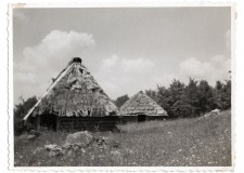 Powiększ zdjęcie Szałasy w Bartnem; 28 czerwca 1936 roku; fot. Bohdan Jaciow 