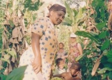 Powiększ zdjęcie Zbiór bananów