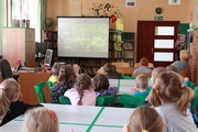 	2367 — przedszkolaki oglądają film o lesie i jego mieszkańcach	