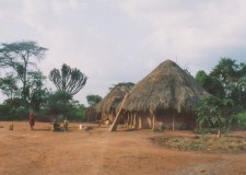 Powiększ zdjęcie  Ugandyjska wioska